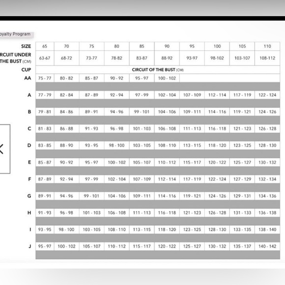 NWT KINGA "ZOE III " SEMI PADDED" EU Sz 85E /38DD Animal Print UW Bra - Picture 6 of 8